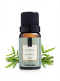 Essência Bamboo Via Aroma - 10ml